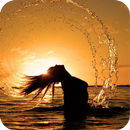 Sunset Photo Frame Editor APK