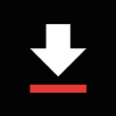 BW Video Downloader aplikacja