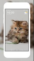Cute Cat Wallpaper captura de pantalla 2