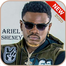 Ariel Sheney MP3 2020 - Without Internet APK