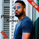 Prince Kaybee Mp3 2020 without intenet APK