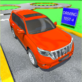 Driving Test Training icône