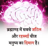 Interesting Facts Hindi imagem de tela 2