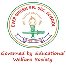 Ever Green School APK