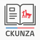 Diccionario Ckunza APK