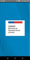 Diccionario Ckunza poster