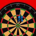 Darts Pro