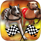 Dog Racing ikon