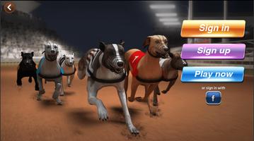 Poster Dog Racing