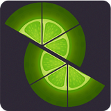 Slices Fruits icon