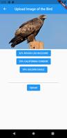 AI_Birder पोस्टर
