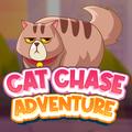 Aviat0r Adventure