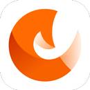 ConvertFox APK