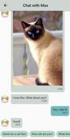 Chat With Cats ảnh chụp màn hình 3