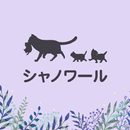 【chat-noir】カイロ＆エステ APK