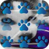 Husky Puppy Lock Screen 图标