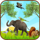 Birds & Animal Sounds icon