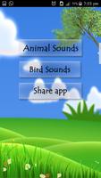 Birds & Animal Sounds screenshot 1