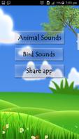 Aves y sonidos de animales captura de pantalla 1