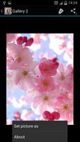 Cherry Blossom 截圖 2