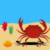 Crab: survival from beach