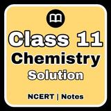 Class 11 Chemistry Solution icône