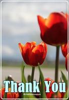 Thank You Images Affiche