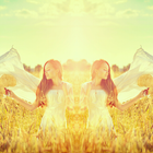 Insta Mirror আইকন