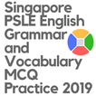Singapore PSLE English Grammar