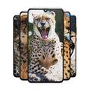 Cheetah Wallpapers: Fastest Animal on Earth APK