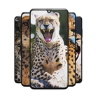 Cheetah Wallpapers icône