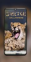 Cheetah Wallpapers Affiche