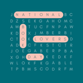 Word Search