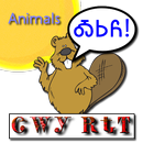 Cherokee Language Animals APK