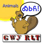Cherokee Language Animals icône