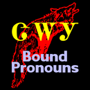 Cherokee Bound Pronouns APK