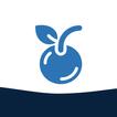 cherry VPN