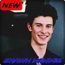 Shawn Mendes - Señorita music video APK