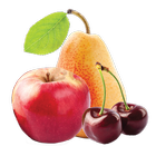 Fresh Fruit иконка