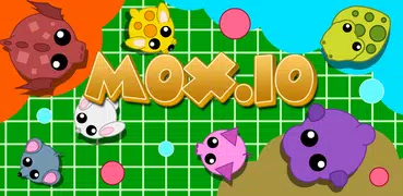 Mox.io