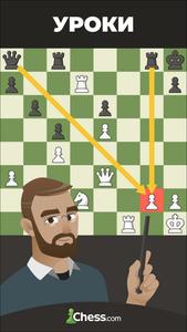 Шахматы · Играйте и учитесь скриншот 5