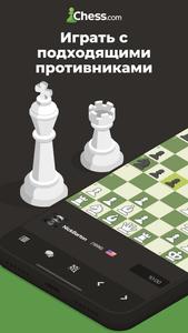 Шахматы · Играйте и учитесь скриншот 1