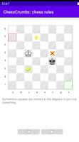 Learn chess rules poster
