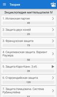 Шахматный миттельшпиль IV постер