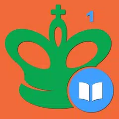 Chess Middlegame I Icon