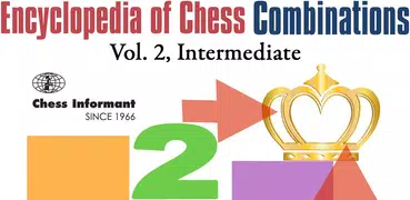 Encyclopedia Chess Informant 2