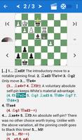 Encyclopedia Chess Informant 3 ポスター