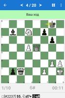 Karjakin Poster