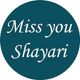 Miss You Shayari icône