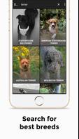 Dog Breeds - Dog Images, Video تصوير الشاشة 1